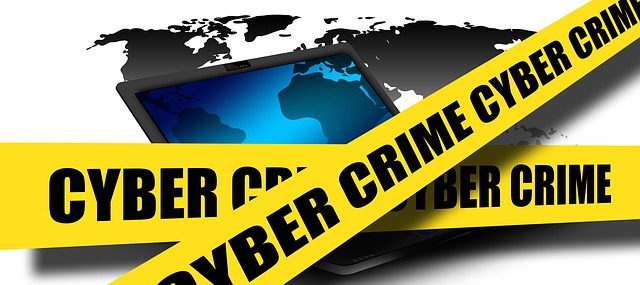 Cyber Crime